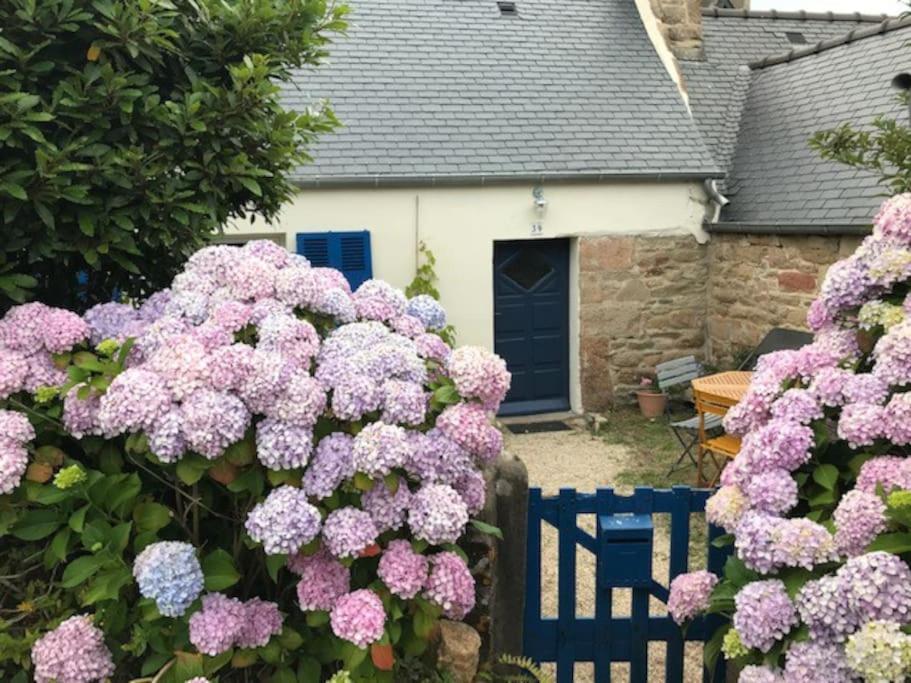 Charmante Maison De Pecheurs Trébeurden المظهر الخارجي الصورة